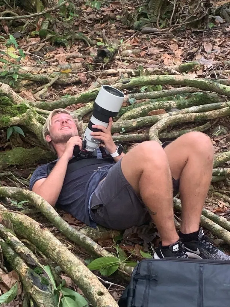 Waiting flat on the rainforest floor for wildlife